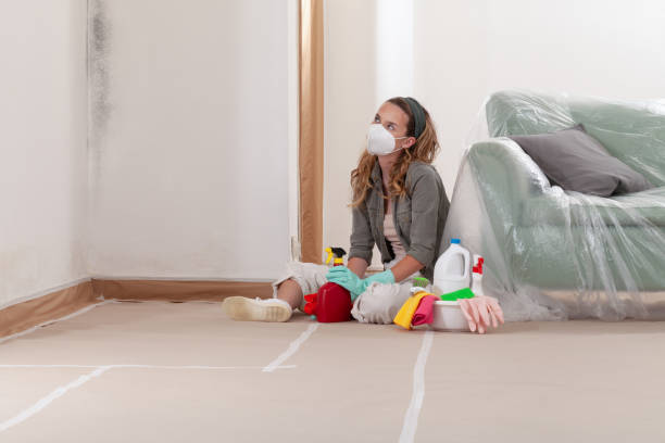 Reliable Mold Removal contractor in Kenmore, WA by WQB Mold Removal